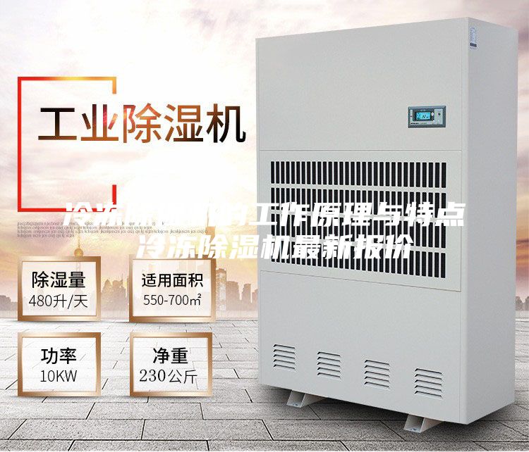 冷凍除濕機(jī)的工作原理與特點(diǎn) 冷凍除濕機(jī)最新報(bào)價(jià)