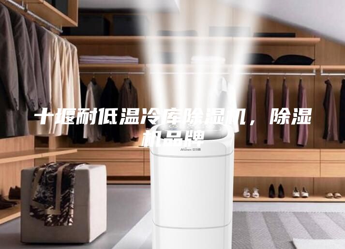 十堰耐低溫冷庫(kù)除濕機(jī)，除濕機(jī)品牌