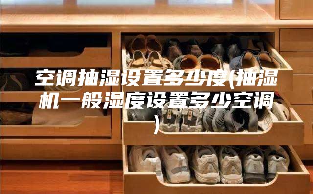 空調(diào)抽濕設(shè)置多少度(抽濕機(jī)一般濕度設(shè)置多少空調(diào))