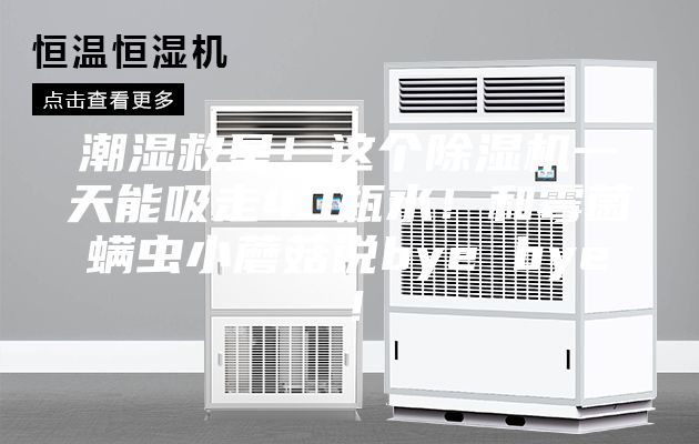 潮濕救星！這個除濕機一天能吸走40瓶水！和霉菌螨蟲小蘑菇說bye bye！