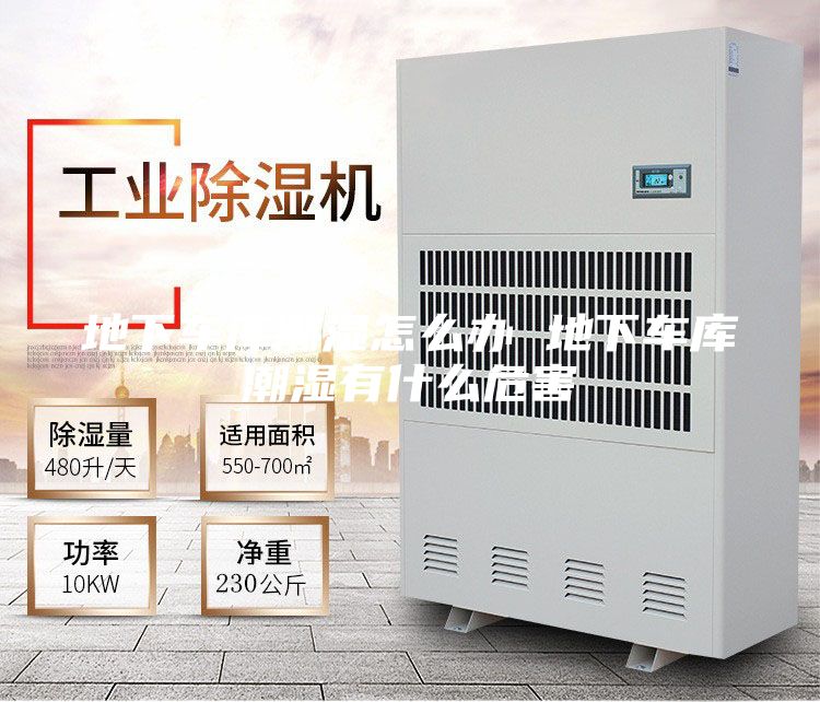 地下車(chē)庫(kù)潮濕怎么辦 地下車(chē)庫(kù)潮濕有什么危害