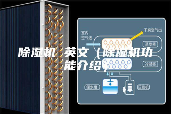 除濕機(jī) 英文(除濕機(jī)功能介紹)