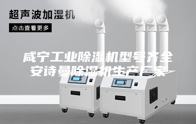 咸寧工業(yè)除濕機(jī)型號(hào)齊全安詩(shī)曼除濕機(jī)生產(chǎn)廠家