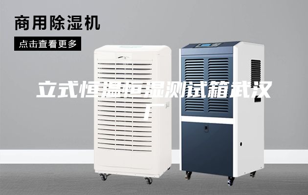 立式恒溫恒濕測(cè)試箱武漢廠