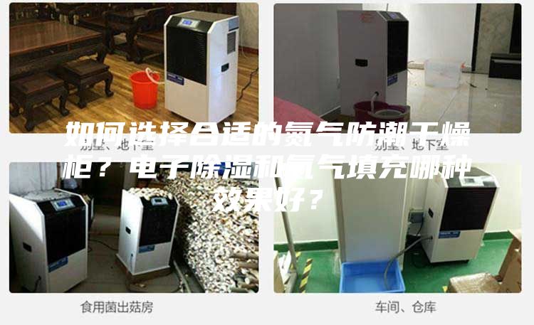 如何選擇合適的氮?dú)夥莱备稍锕瘢侩娮映凉窈偷獨(dú)馓畛淠姆N效果好?