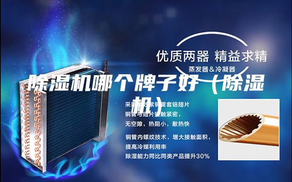除濕機(jī)哪個(gè)牌子好(除濕機(jī))
