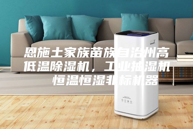 恩施土家族苗族自治州高低溫除濕機(jī),工業(yè)抽濕機(jī) 恒溫恒濕非標(biāo)機(jī)器