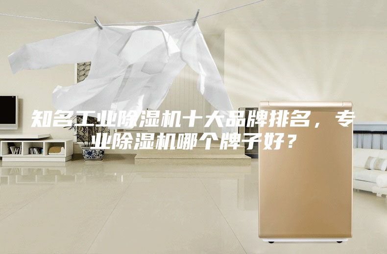 知名工業除濕機十大品牌排名，專業除濕機哪個牌子好？