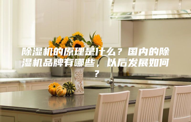 除濕機(jī)的原理是什么?國(guó)內(nèi)的除濕機(jī)品牌有哪些,以后發(fā)展如何?