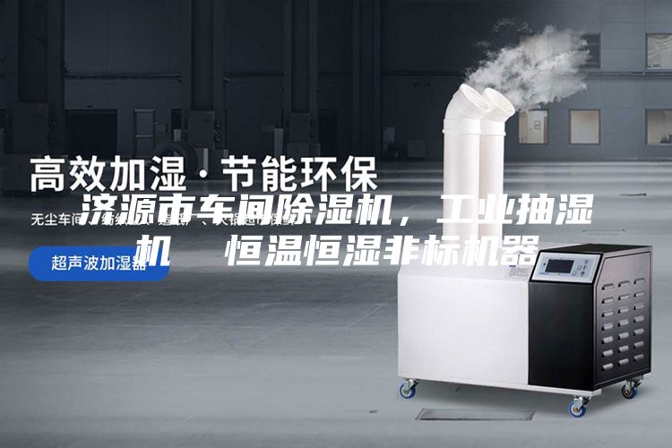 濟源市車間除濕機,工業(yè)抽濕機 恒溫恒濕非標(biāo)機器