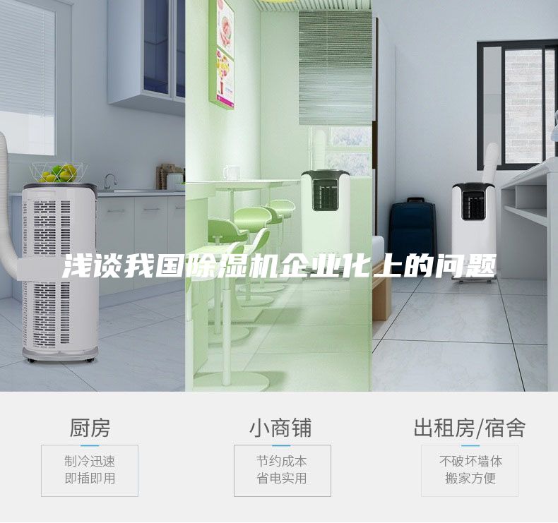 淺談我國除濕機企業(yè)化上的問題