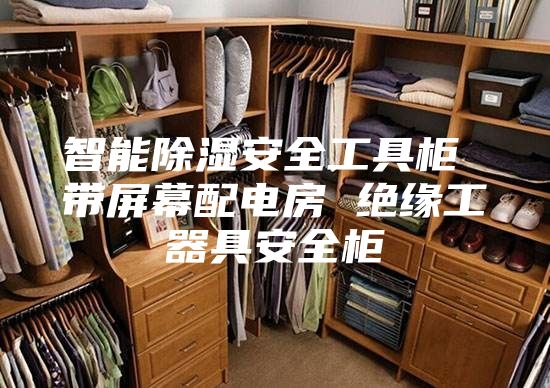 智能除濕安全工具柜 帶屏幕配電房 絕緣工器具安全柜