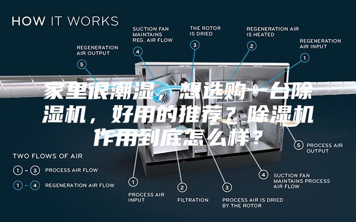 家里很潮濕,想選購一臺除濕機,好用的推薦?除濕機作用到底怎么樣?