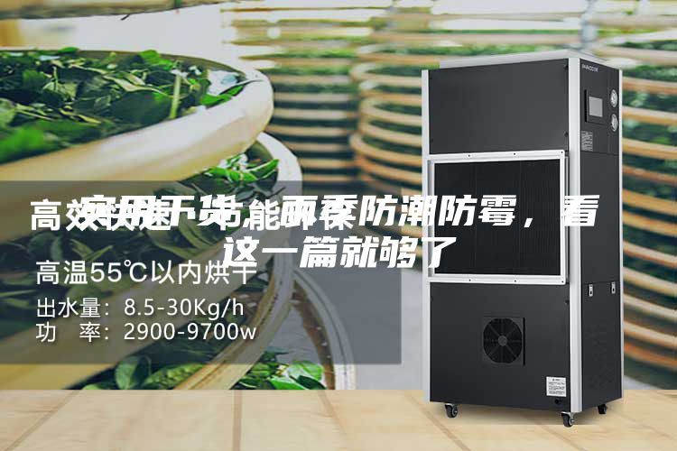 實用干貨,雨季防潮防霉,看這一篇就夠了