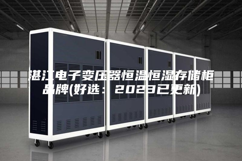 湛江電子變壓器恒溫恒濕存儲柜品牌(好選:2023已更新)