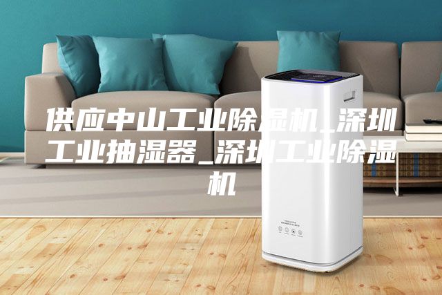 供應(yīng)中山工業(yè)除濕機_深圳工業(yè)抽濕器_深圳工業(yè)除濕機