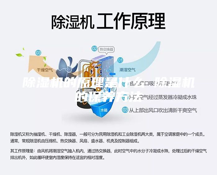 除濕機的原理是什么 除濕機的保養方法