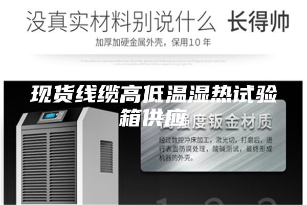 現(xiàn)貨線纜高低溫濕熱試驗箱供應