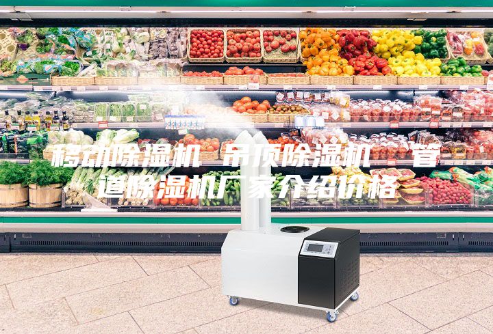 移動除濕機 吊頂除濕機 管道除濕機廠家介紹價格