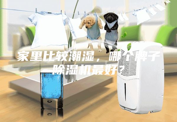 家里比較潮濕，哪個(gè)牌子除濕機(jī)最好？