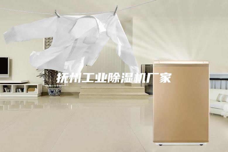 撫州工業除濕機廠家