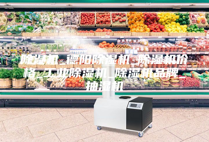 除濕機(jī)_德陽除濕機(jī)_除濕機(jī)價格_工業(yè)除濕機(jī)_除濕機(jī)品牌_抽濕機(jī)