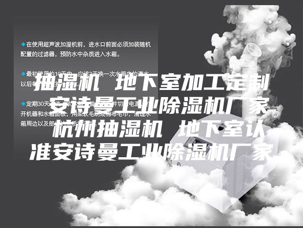 抽濕機(jī) 地下室加工定制 安詩曼工業(yè)除濕機(jī)廠家 杭州抽濕機(jī) 地下室認(rèn)準(zhǔn)安詩曼工業(yè)除濕機(jī)廠家