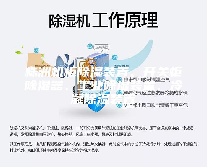 株洲機柜除濕裝置、開關柜除濕器、工業除濕裝置、冷凝除濕裝置