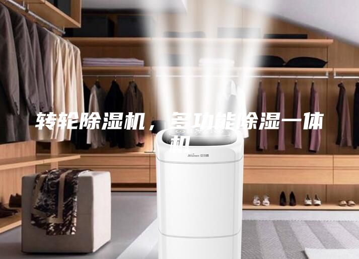 轉(zhuǎn)輪除濕機,多功能除濕一體機
