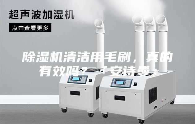 除濕機清潔用毛刷，真的有效嗎？「安詩曼」