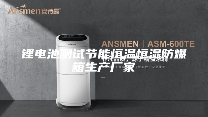 鋰電池測試節能恒溫恒濕防爆箱生產廠家