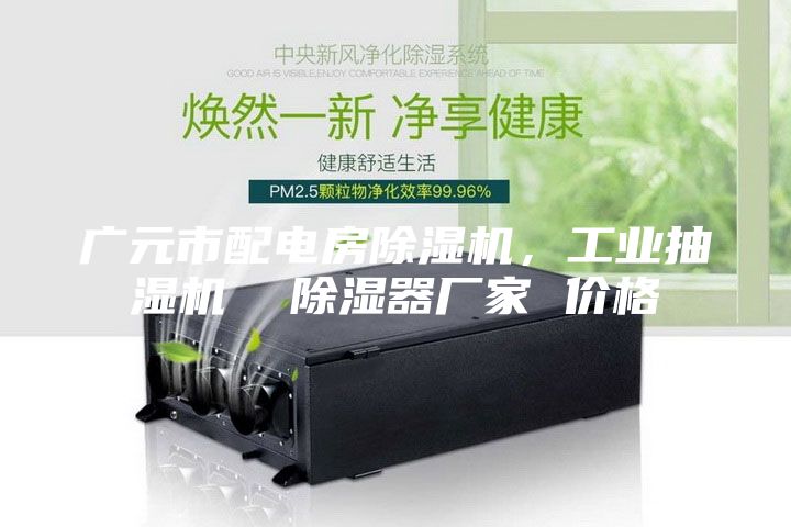 廣元市配電房除濕機(jī)，工業(yè)抽濕機(jī)  除濕器廠家 價(jià)格