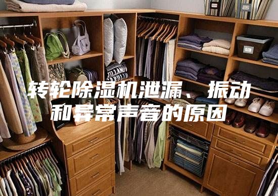 轉(zhuǎn)輪除濕機泄漏、振動和異常聲音的原因