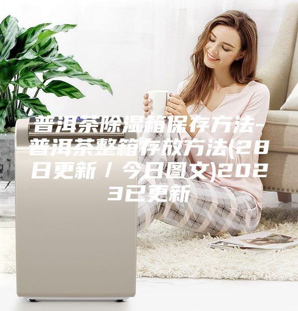 普洱茶除濕箱保存方法-普洱茶整箱存放方法(28日更新/今日圖文)2023已更新