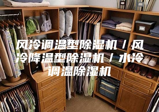 風冷調溫型除濕機/風冷降溫型除濕機/水冷調溫除濕機