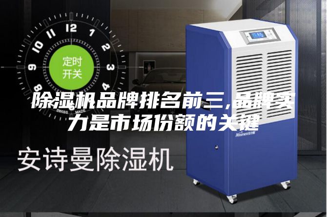 除濕機(jī)品牌排名前三,品牌實力是市場份額的關(guān)鍵
