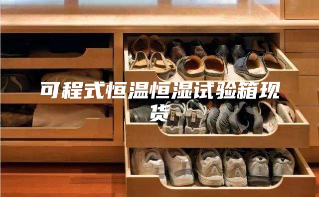 可程式恒溫恒濕試驗箱現(xiàn)貨