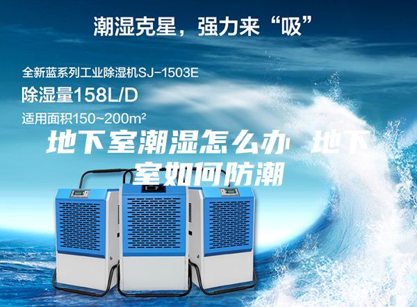 地下室潮濕怎么辦 地下室如何防潮