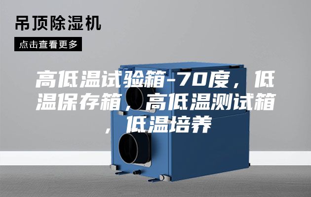 高低溫試驗(yàn)箱-70度，低溫保存箱，高低溫測試箱，低溫培養(yǎng)